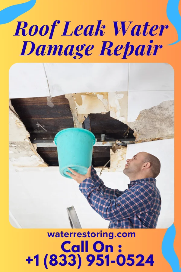 Roof Leak Water Damage Repair in Rison, AR
